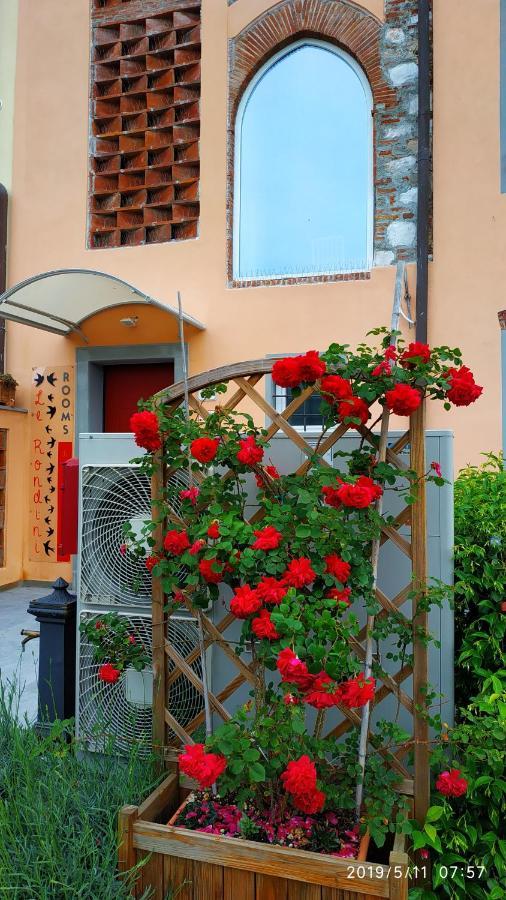 Le Rondini Di San Donato Bed & Breakfast Lucca Dış mekan fotoğraf