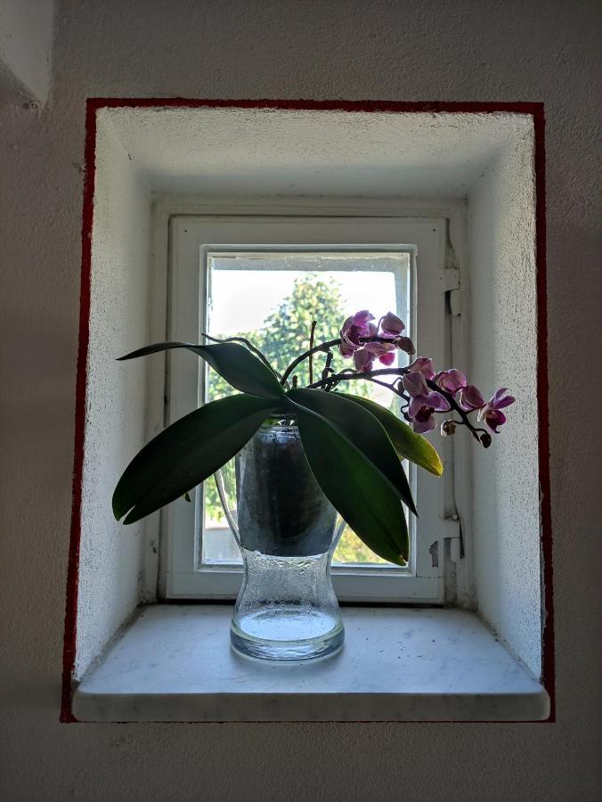 Le Rondini Di San Donato Bed & Breakfast Lucca Dış mekan fotoğraf