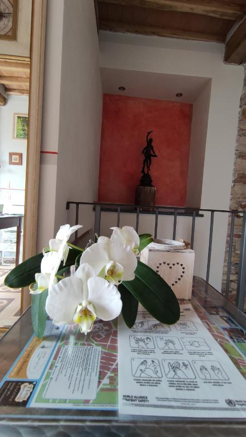 Le Rondini Di San Donato Bed & Breakfast Lucca Dış mekan fotoğraf